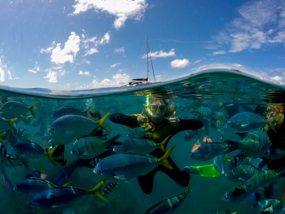 One happy diver among the fishes showing two thumbs up. A gopro dome photo.