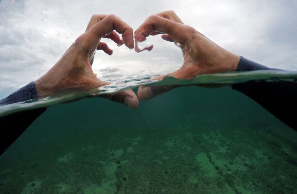I love the sea over under photo