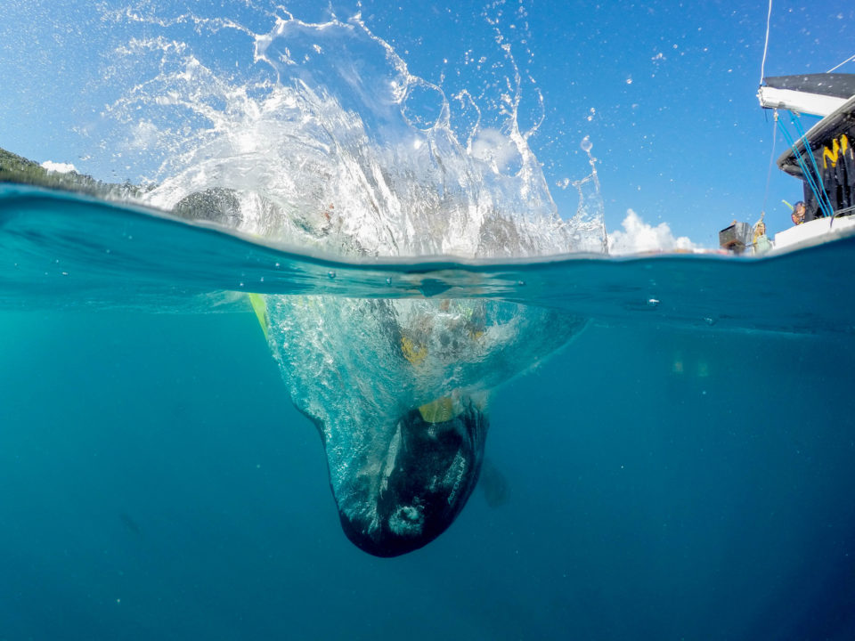 A half half dome photo of a diver jumping in the water with water splashing around.