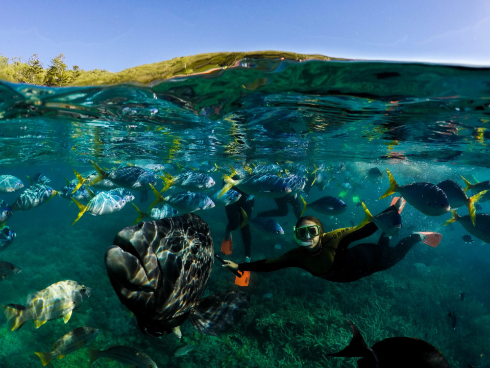 Snorkeling half half photo.