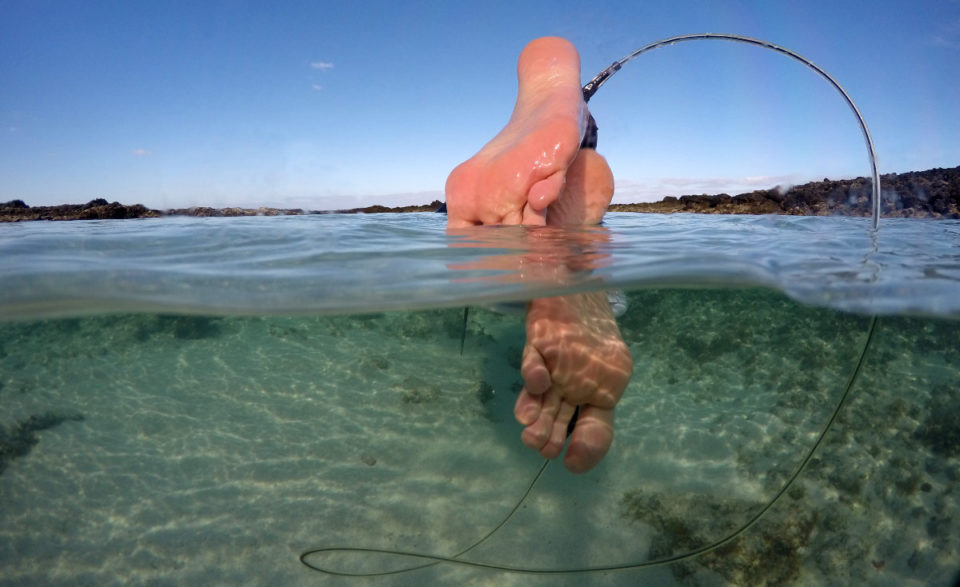 over-under-photo-example-water-quality (8)